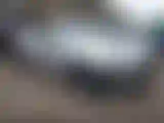 Vehicle Image- 2019 Ford Mustang