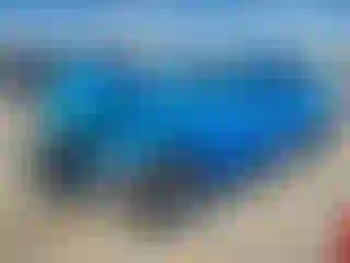 Vehicle Image- 2017 Ford Mustang