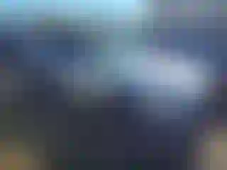 Vehicle Image- 2017 Ford Mustang