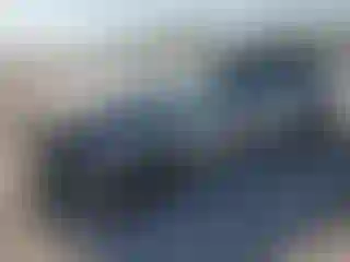 Vehicle Image- 2022 Ford Mustang