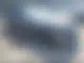 Vehicle Image- 2020 Ford Mustang