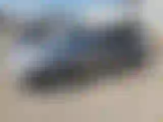 Vehicle Image- 2020 Ford Mustang