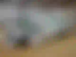 Vehicle Image- 2023 Ford Transit