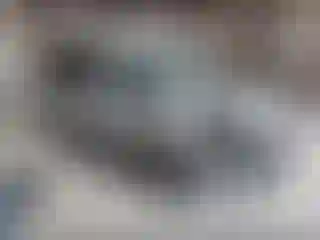 Vehicle Image- 2021 Ford Transit