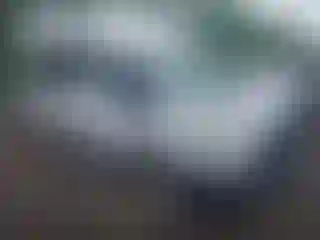 Vehicle Image- 2022 Ford Transit