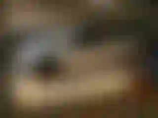 Vehicle Image- 2022 Ford F-250