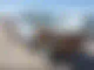 Vehicle Image- 2019 Ford F-250
