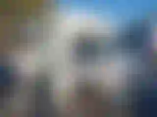 Vehicle Image- 2019 Ford E-Series
