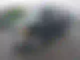 Vehicle Image- 2005 Ford ECONOLINE