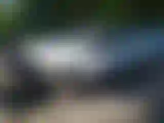 Vehicle Image- 2006 Ford F-250