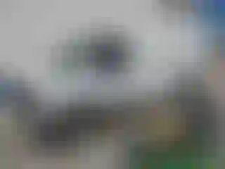 IMPORTOWO.pl