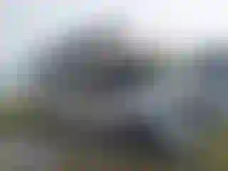 Vehicle Image- 2021 Ford E-Series