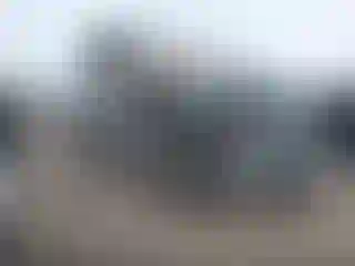 Vehicle Image- 2018 Ford E-Series
