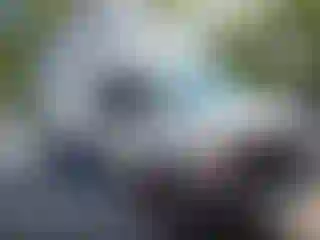 Vehicle Image- 2019 Ford E-Series