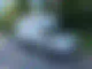 Vehicle Image- 2015 Ford Transit