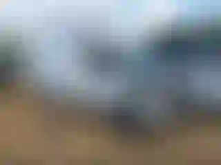 Vehicle Image- 2014 Ford E-Series