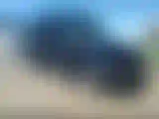 Vehicle Image- 2019 Ford Transit