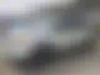 Vehicle Image- 2013 Ford Explorer