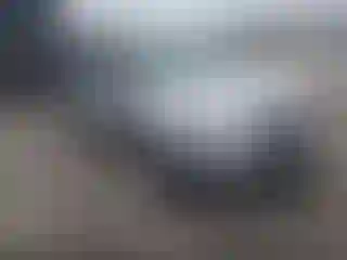 Vehicle Image- 2017 Ford Explorer