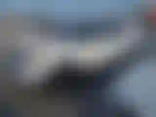 Vehicle Image- 2014 Ford Explorer