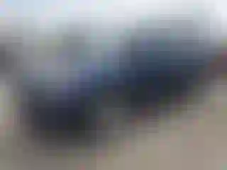 Vehicle Image- 2016 Ford Explorer