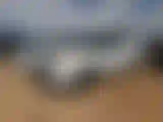 Vehicle Image- 2013 Ford Explorer