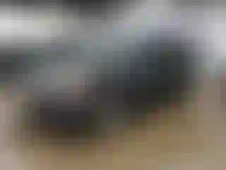 Vehicle Image- 2013 Ford Explorer