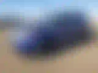 Vehicle Image- 2013 Ford Explorer