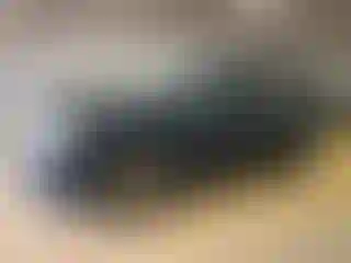 Vehicle Image- 2017 Ford Explorer