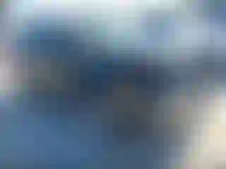 Vehicle Image- 2013 Ford Explorer