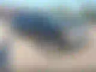 Vehicle Image- 2015 Ford Explorer