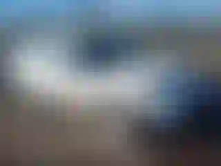 Vehicle Image- 2013 Ford Explorer