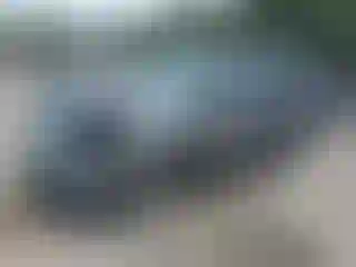 Vehicle Image- 2013 Ford Explorer
