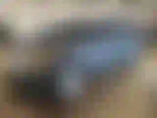 Vehicle Image- 2014 Ford Explorer