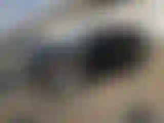 Vehicle Image- 2014 Ford Explorer