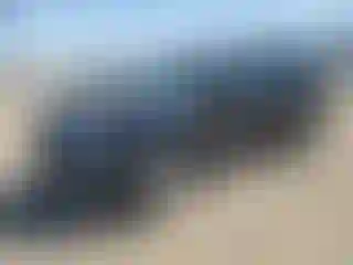 Vehicle Image- 2017 Ford Explorer