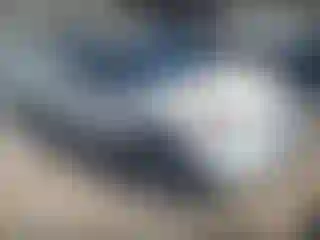Vehicle Image- 2013 Ford Explorer
