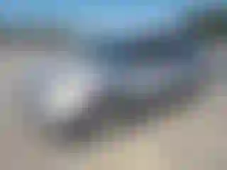 Vehicle Image- 2014 Ford Explorer