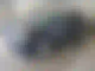 Vehicle Image- 2016 Ford Explorer