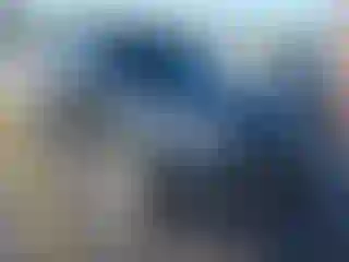 Vehicle Image- 2016 Ford Explorer