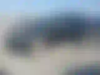 Vehicle Image- 2017 Ford Explorer