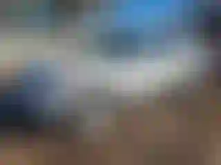 Vehicle Image- 2016 Ford Explorer