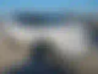 Vehicle Image- 2017 Ford Explorer