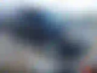 Vehicle Image- 2013 Ford Explorer