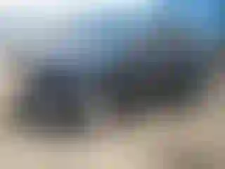 Vehicle Image- 2016 Ford Explorer