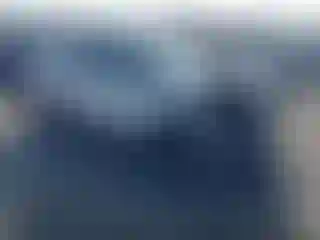 Vehicle Image- 2017 Ford Explorer