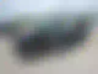 Vehicle Image- 2019 Ford Explorer