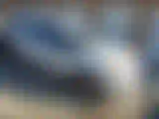 Vehicle Image- 2013 Ford Explorer