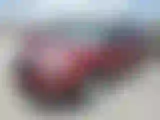 Vehicle Image- 2017 Ford Explorer