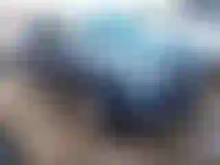 Vehicle Image- 2017 Ford Explorer